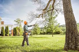 Best Firewood Processing and Delivery  in Woodbranch, TX