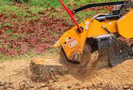 Trusted Woodbranch, TX Tree Services Experts
