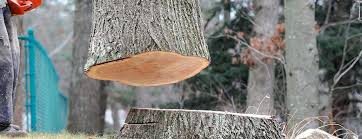 Best Utility Line Clearance  in Woodbranch, TX