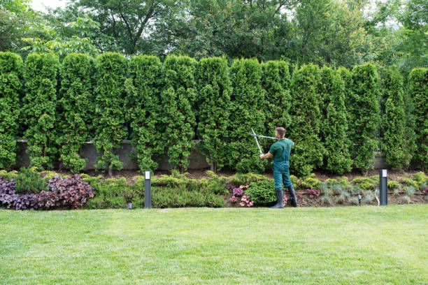 Best Landscape Design and Installation  in Woodbranch, TX