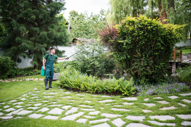 Best Tree Health Inspection  in Woodbranch, TX