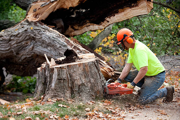 Best Aeration Services  in Woodbranch, TX